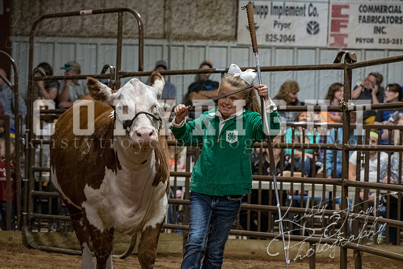 mayes_county_fair_premium_sale_2441