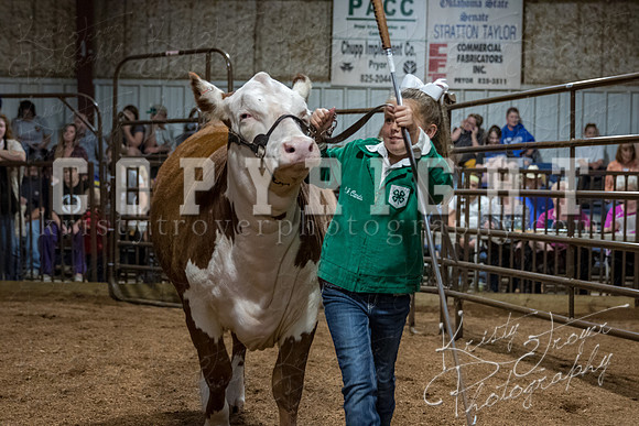 mayes_county_fair_premium_sale_2442