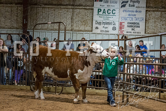 mayes_county_fair_premium_sale_2443