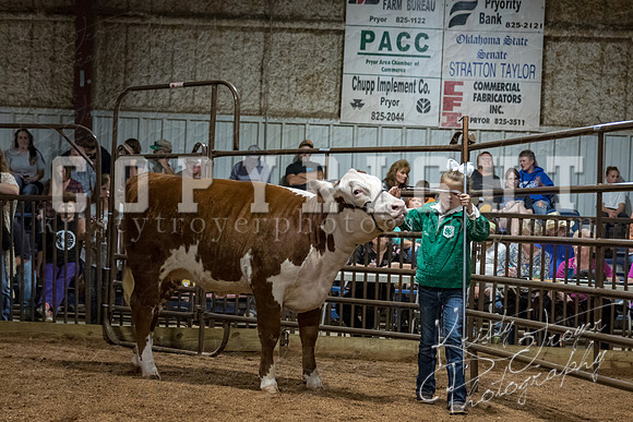 mayes_county_fair_premium_sale_2444