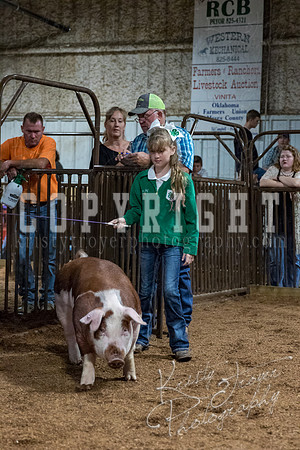 mayes_county_fair_premium_sale_2445