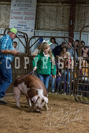 mayes_county_fair_premium_sale_2446
