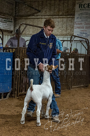 mayes_county_fair_premium_sale_2447