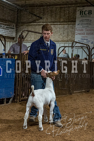 mayes_county_fair_premium_sale_2448