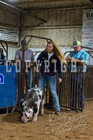 mayes_county_fair_premium_sale_2449