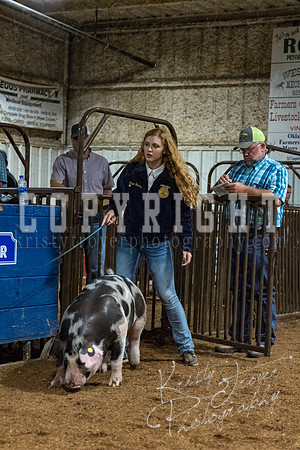 mayes_county_fair_premium_sale_2450