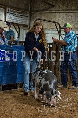 mayes_county_fair_premium_sale_2451