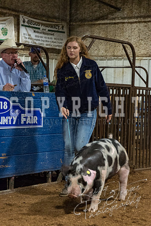 mayes_county_fair_premium_sale_2452