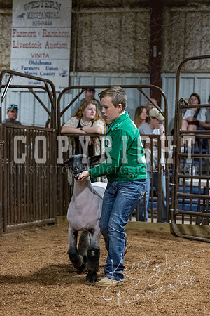 mayes_county_fair_premium_sale_2453