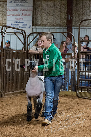 mayes_county_fair_premium_sale_2454