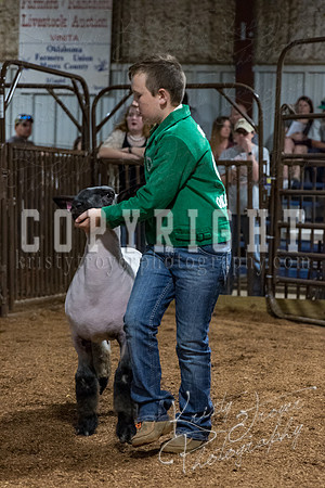 mayes_county_fair_premium_sale_2455
