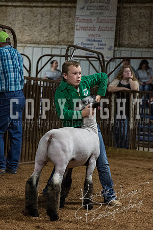mayes_county_fair_premium_sale_2456