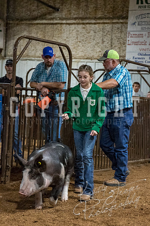 mayes_county_fair_premium_sale_2457