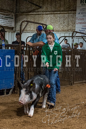 mayes_county_fair_premium_sale_2458