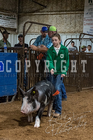 mayes_county_fair_premium_sale_2459