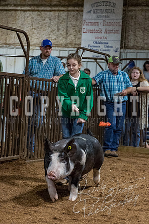 mayes_county_fair_premium_sale_2460