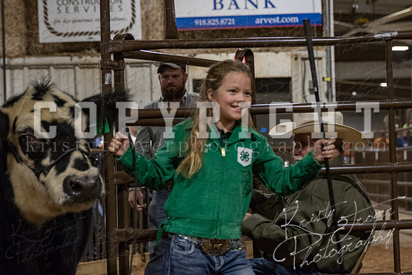 mayes_county_fair_premium_sale_2461
