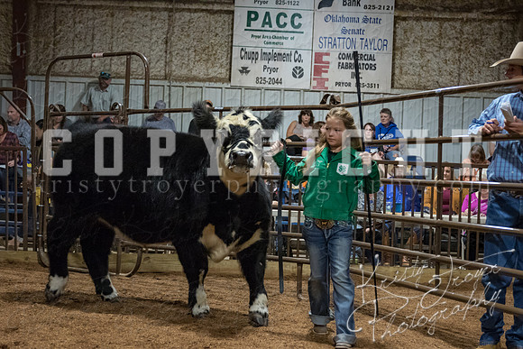 mayes_county_fair_premium_sale_2462