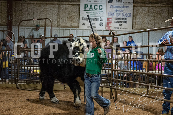 mayes_county_fair_premium_sale_2463