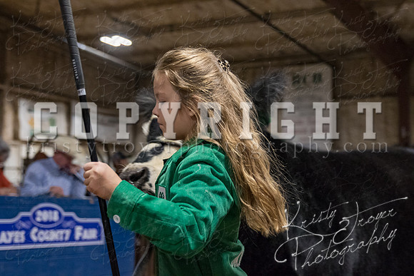 mayes_county_fair_premium_sale_2464
