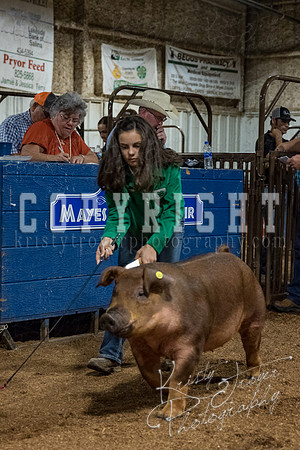 mayes_county_fair_premium_sale_2465