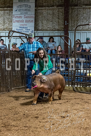 mayes_county_fair_premium_sale_2466