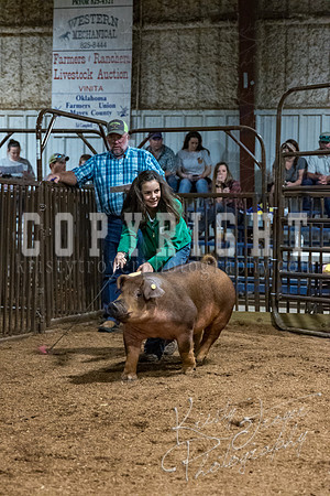 mayes_county_fair_premium_sale_2467