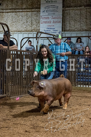 mayes_county_fair_premium_sale_2468