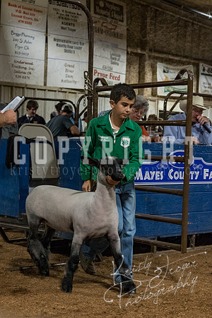 mayes_county_fair_premium_sale_2469