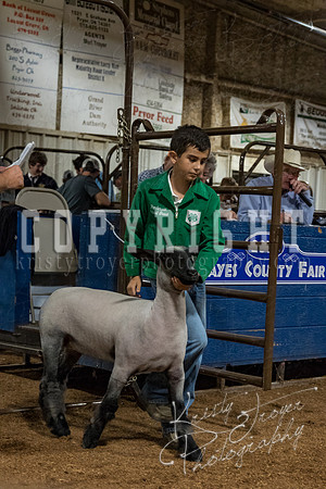 mayes_county_fair_premium_sale_2470