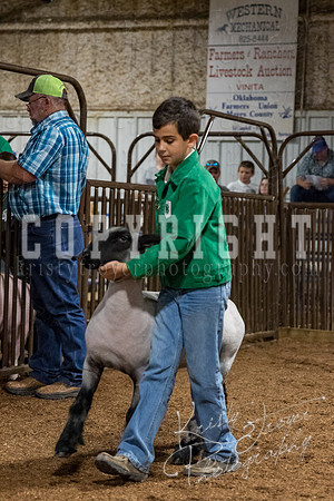 mayes_county_fair_premium_sale_2471