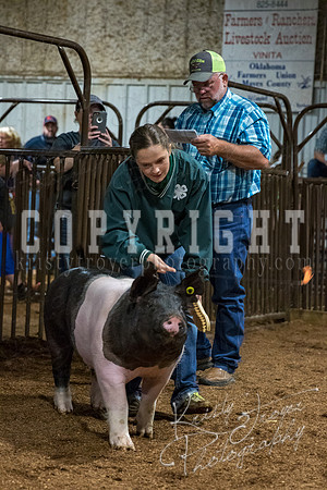 mayes_county_fair_premium_sale_2472