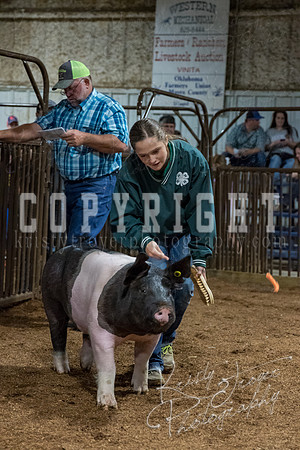 mayes_county_fair_premium_sale_2473