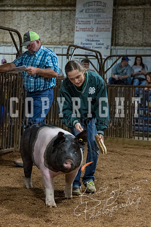 mayes_county_fair_premium_sale_2474