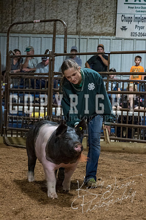 mayes_county_fair_premium_sale_2475