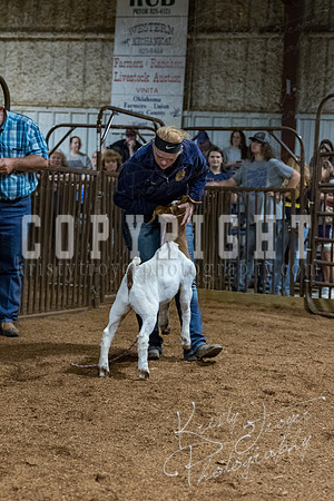mayes_county_fair_premium_sale_2476