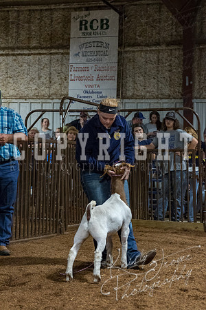 mayes_county_fair_premium_sale_2477
