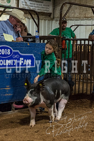 mayes_county_fair_premium_sale_2479