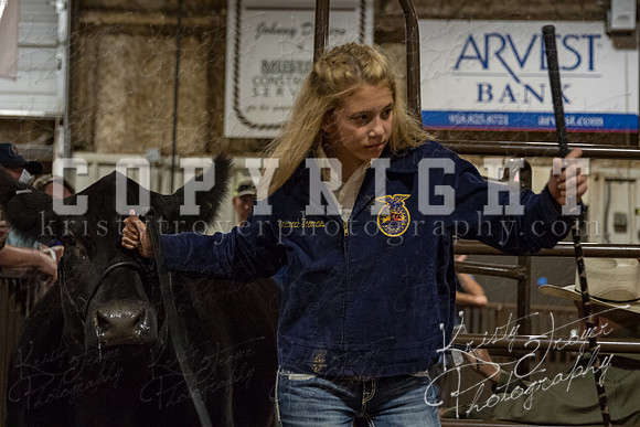 mayes_county_fair_premium_sale_2483