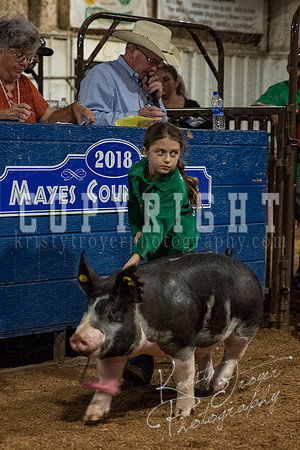 mayes_county_fair_premium_sale_2480