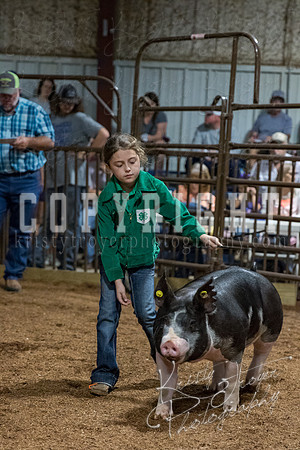 mayes_county_fair_premium_sale_2482