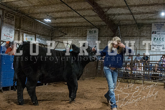 mayes_county_fair_premium_sale_2484