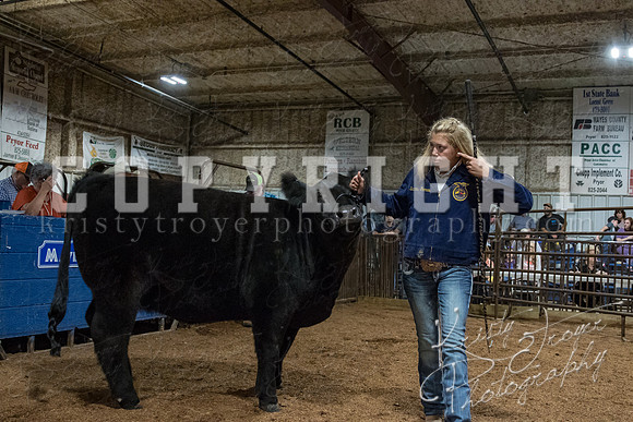 mayes_county_fair_premium_sale_2485