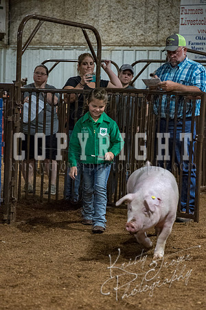 mayes_county_fair_premium_sale_2486