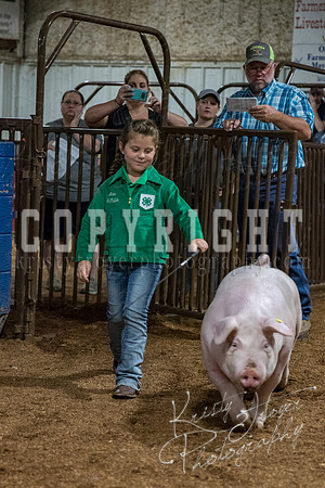 mayes_county_fair_premium_sale_2487