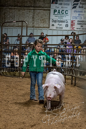 mayes_county_fair_premium_sale_2488