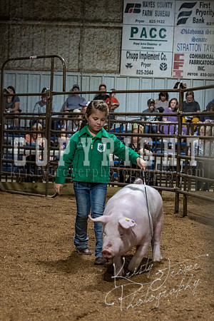 mayes_county_fair_premium_sale_2489