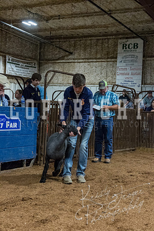 mayes_county_fair_premium_sale_2490