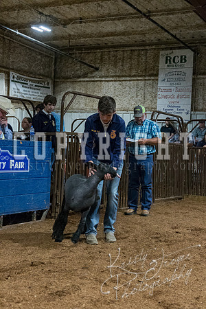 mayes_county_fair_premium_sale_2491