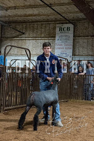 mayes_county_fair_premium_sale_2492